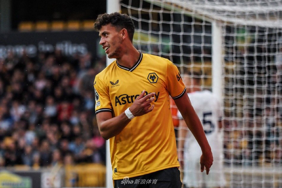 情绪的波动 情绪的波动